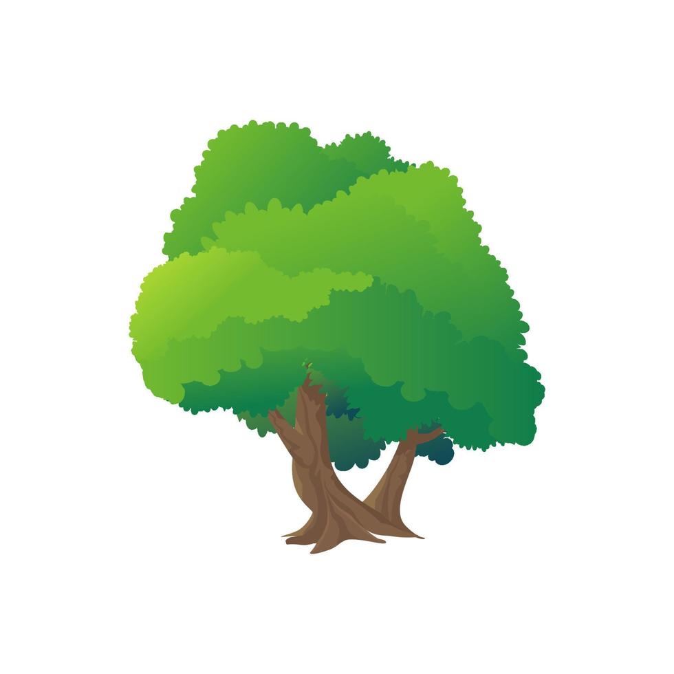 annorlunda grön träd. vektor illustration av olika typ trä. vektor illustration.