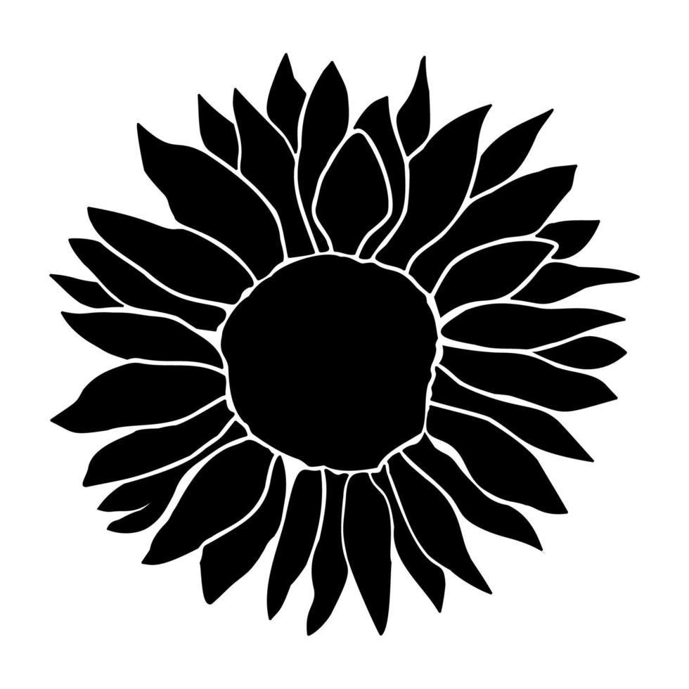 Sonnenblume Kopf Blume Hand gezeichnet vektor