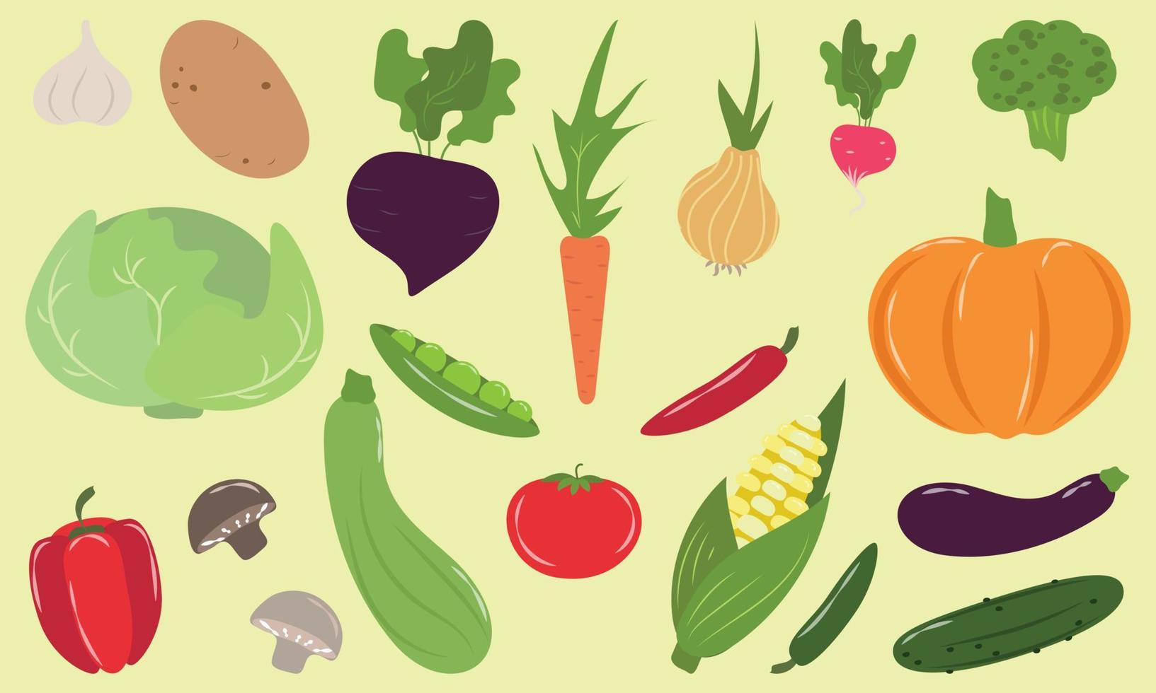 en stor uppsättning av annorlunda grönsaker vektor