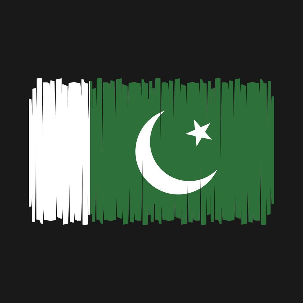 pakistan flagga vektor