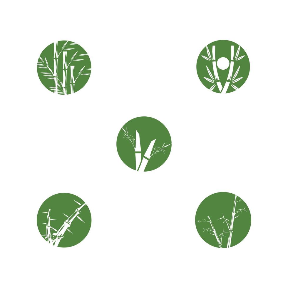 Bambus-Logo-Vorlagen vektor