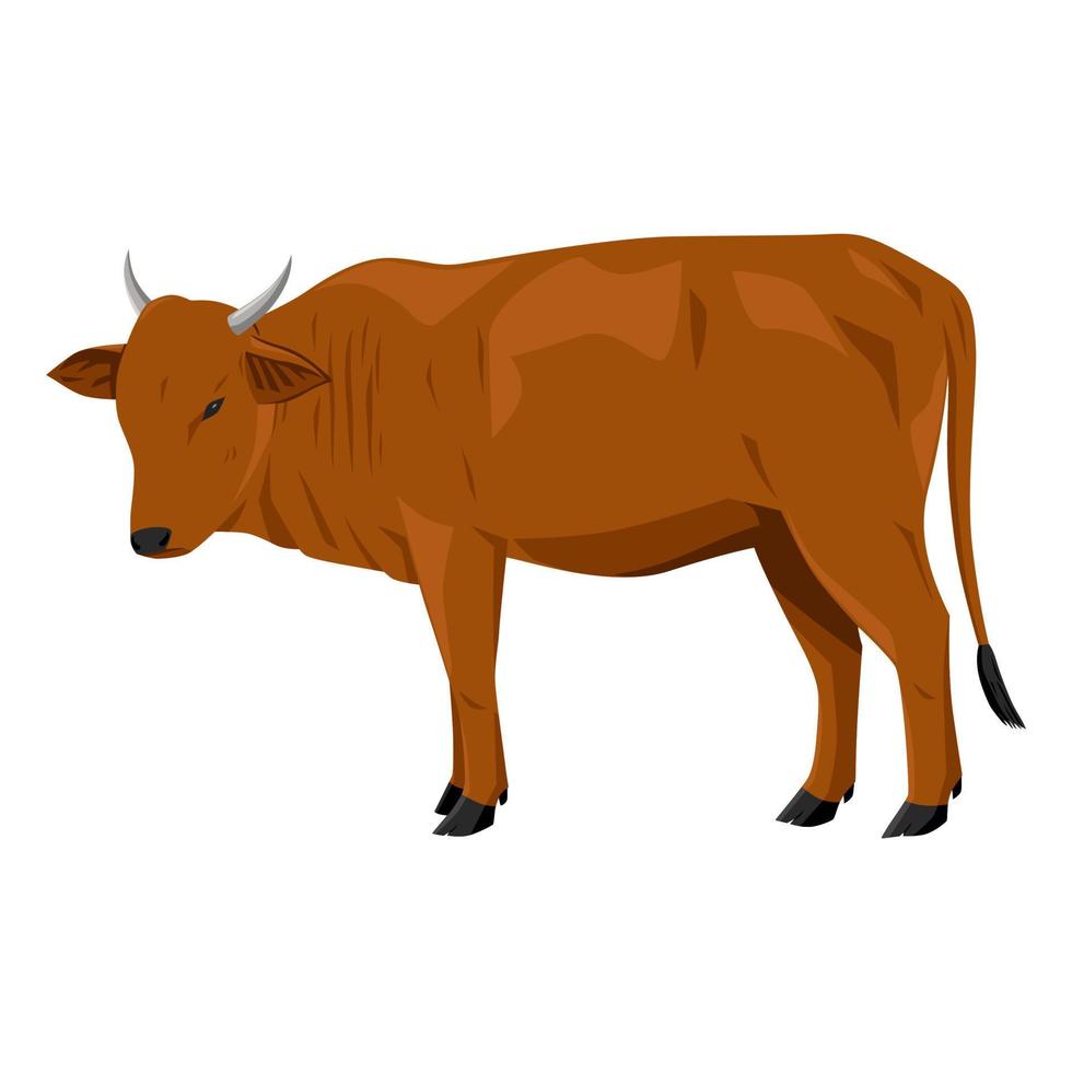 Kuh im braun Farbe, Vektor Illustration