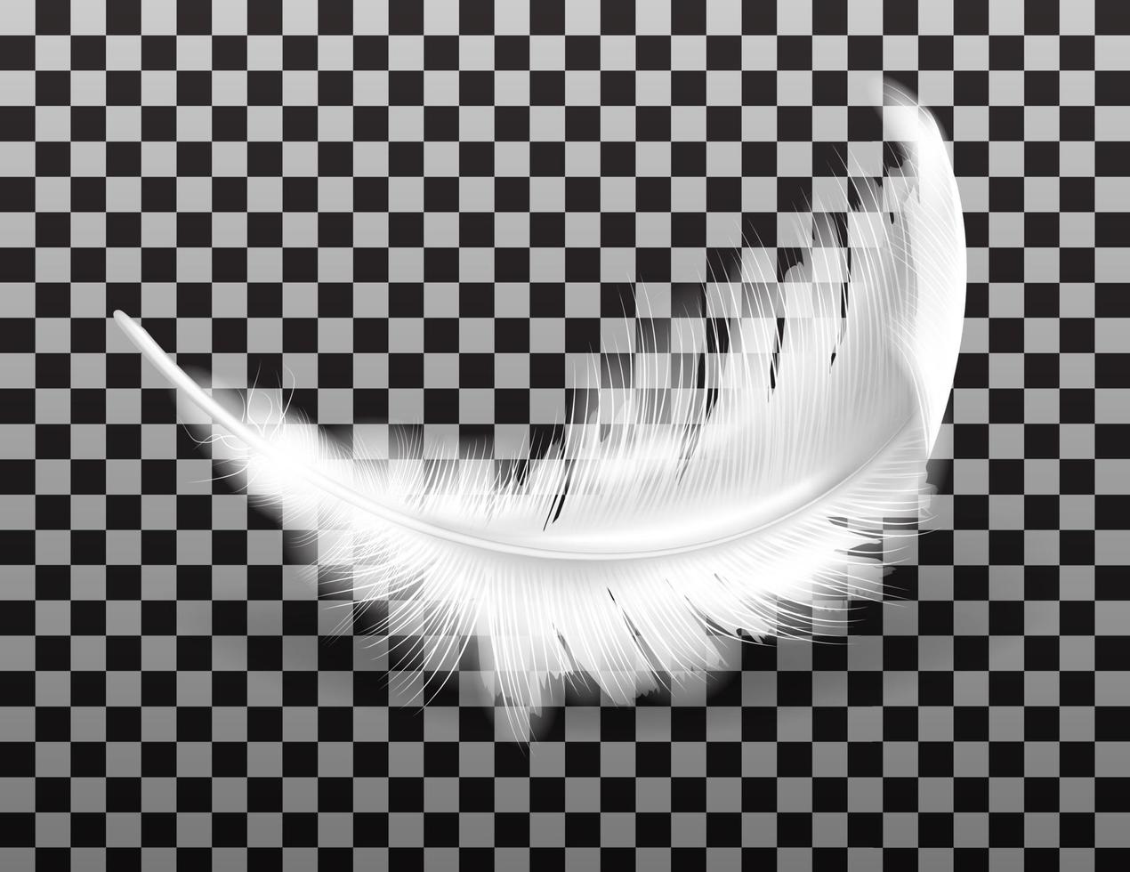 Weiß flauschige Feder mit Schatten realistisch vektor