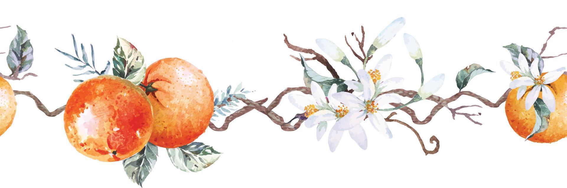 sömlös mönster orange och blomma målad akvarell.designad för gräns, tapeter.citrus frukt. vektor