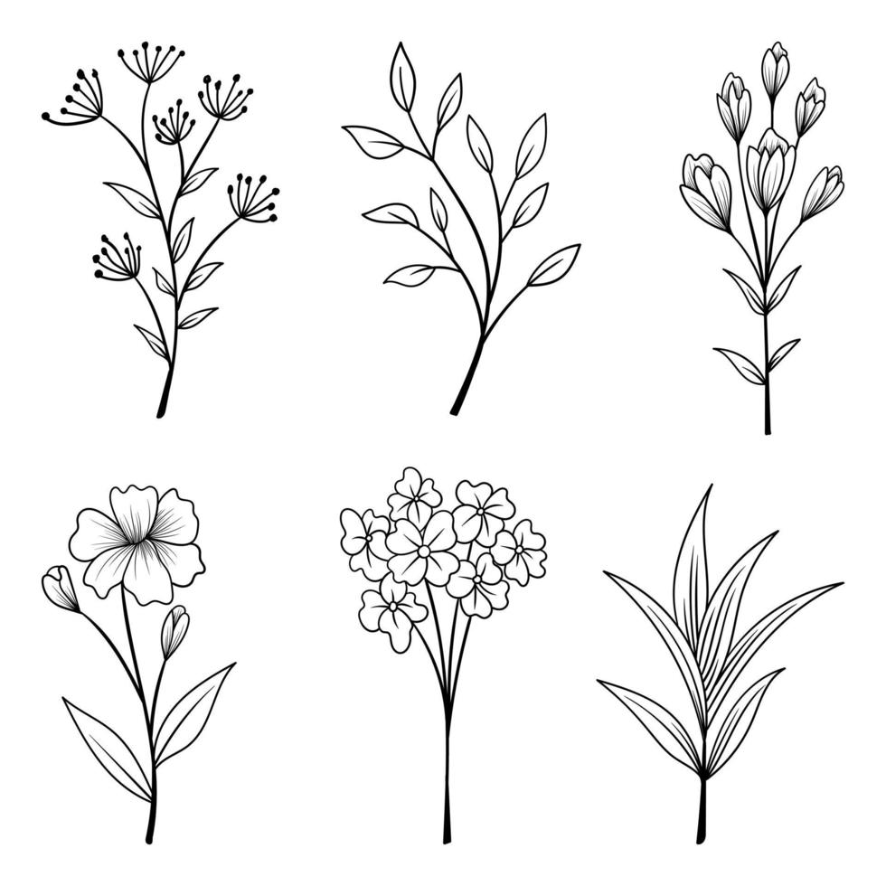 samling av vackra örter och vilda blommor och blad isolerad på vit bakgrund. vektor