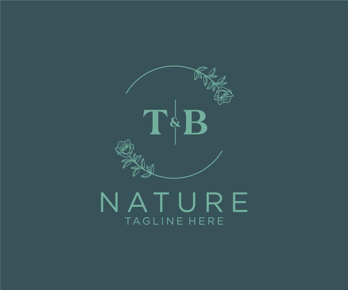 Initiale tb Briefe botanisch feminin Logo Vorlage Blumen, editierbar vorgefertigt Monoline Logo geeignet, Luxus feminin Hochzeit Marke, Unternehmen. vektor