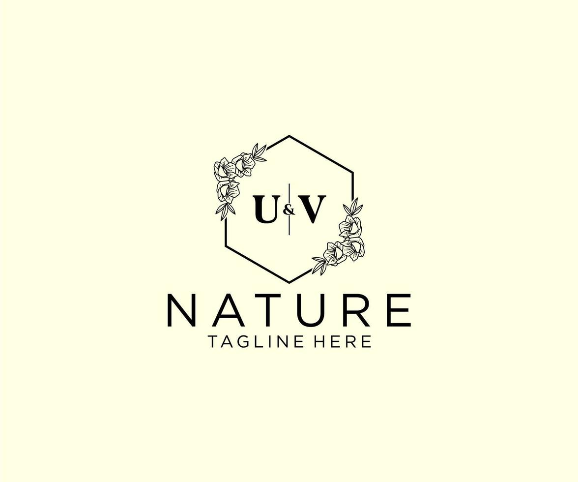 Initiale uv Briefe botanisch feminin Logo Vorlage Blumen, editierbar vorgefertigt Monoline Logo geeignet, Luxus feminin Hochzeit Marke, Unternehmen. vektor