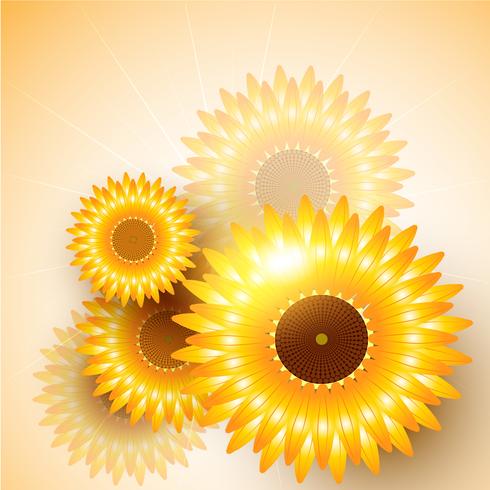 Vektor Sonnenblume