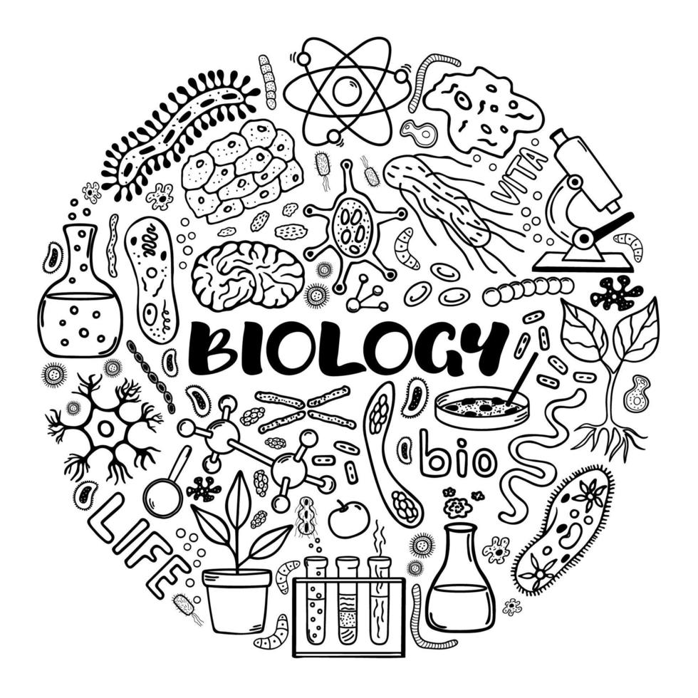 Biologie. runden Konzept Vektor Hand gezeichnet Elemente im Gekritzel Stil.
