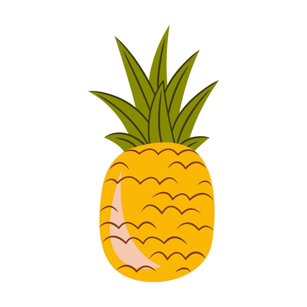 Vektor Illustration von ein Ananas Obst auf ein Weiß Hintergrund. Sommer- tropisch Früchte. exotisch