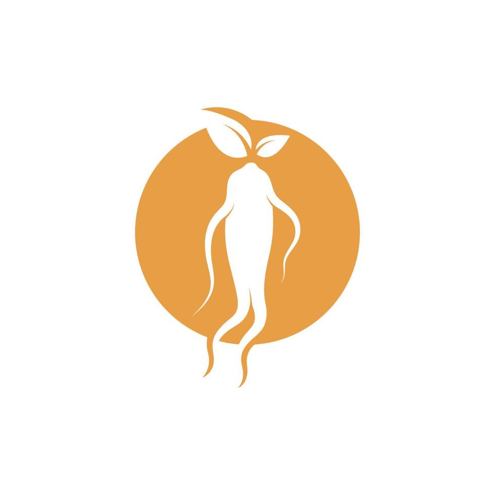 Ginseng Illustration Symbol Vektor Design