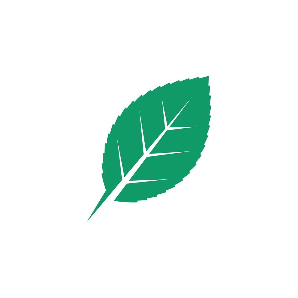 grön blad ekologi natur element vektor ikon av gå grön