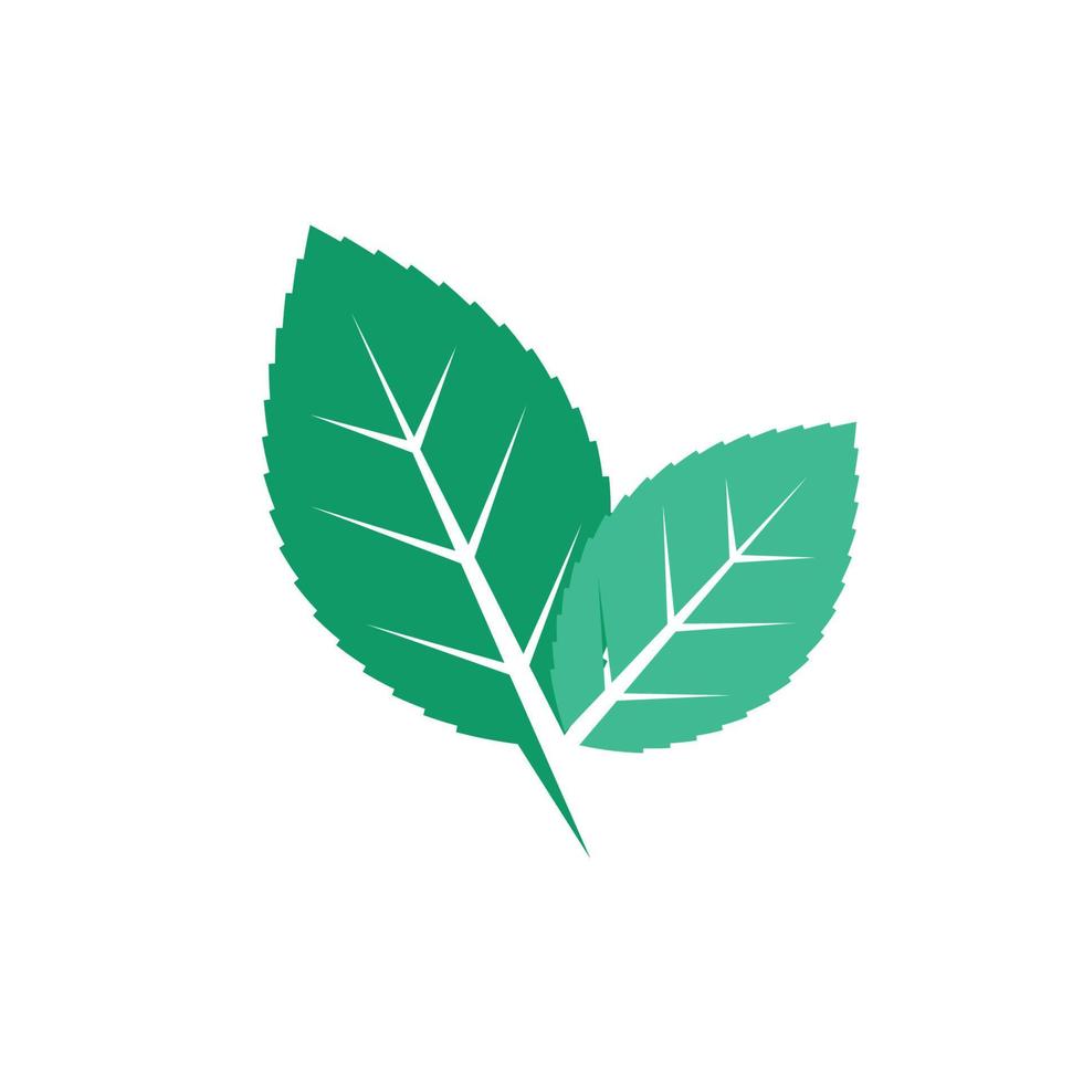 grünes Blatt Ökologie Natur Element Vektor-Symbol von Go Green vektor