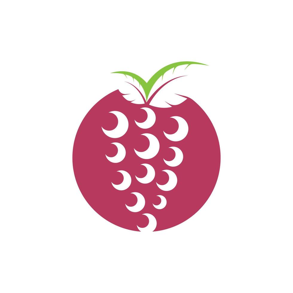 Traube Früchte mit Blatt Symbol Vektor Abbildung
