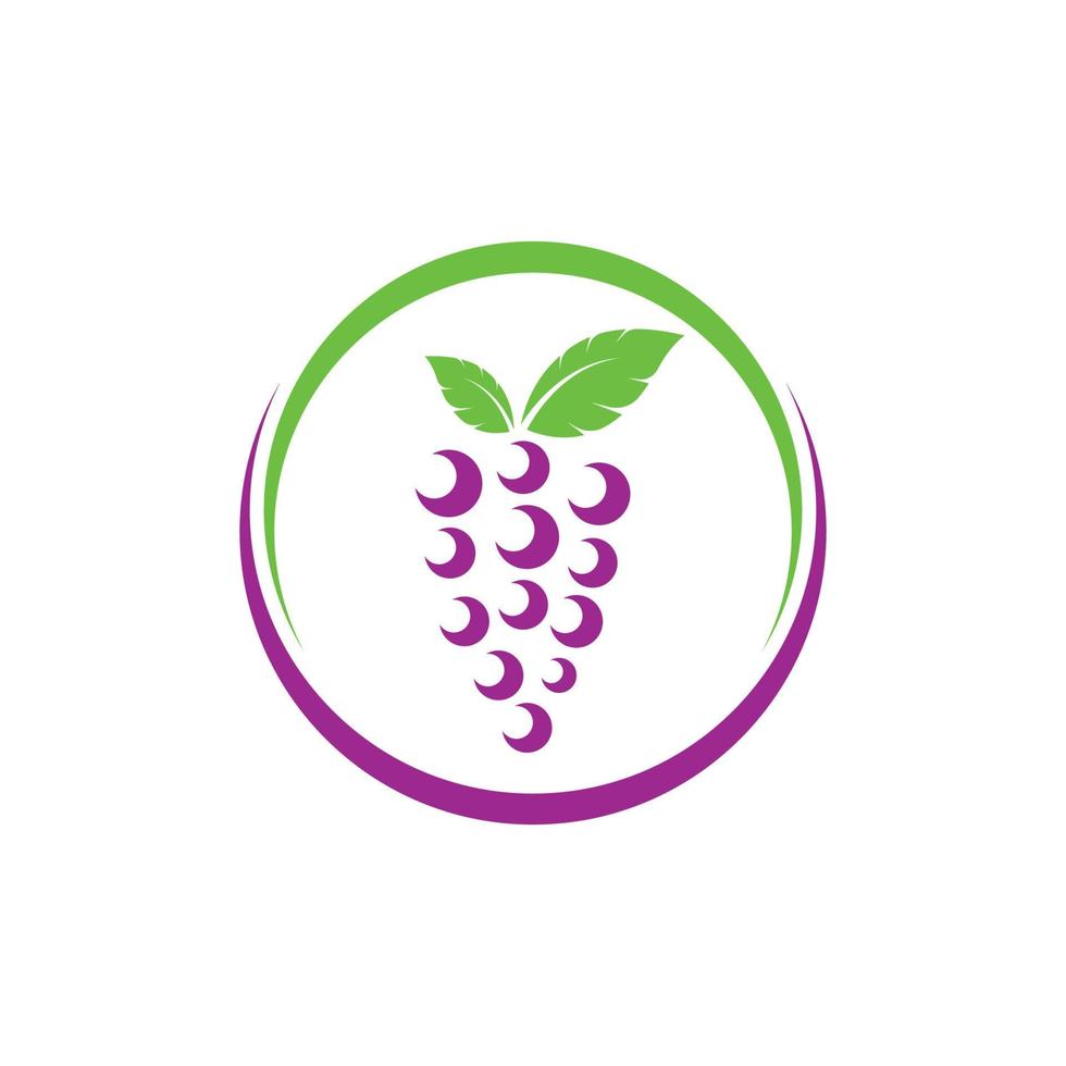 Traube Früchte mit Blatt Symbol Vektor Abbildung