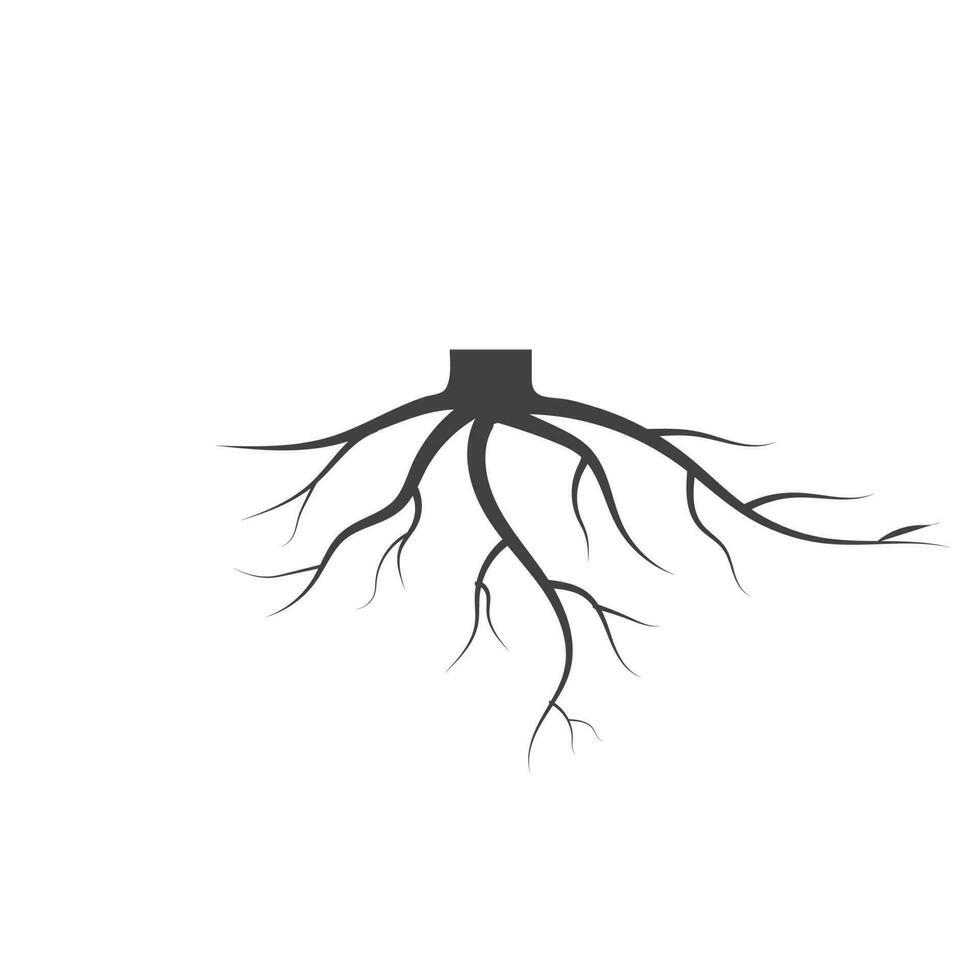 Baum Wurzeln Vektor Symbol Illustration Design