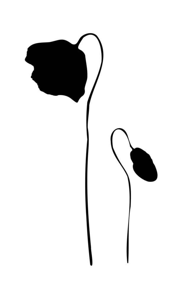 Mohn Blume und Knospe schwarz Silhouette auf Weiß Hintergrund. Hand gezeichnet botanisch Design Elemente. Vektor Illustration.