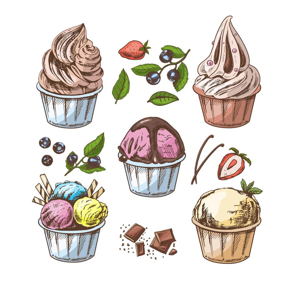 ein handgemalt farbig skizzieren von Eis Sahne Bälle, gefroren Joghurt oder Cupcakes im Tassen. Blaubeeren, Erdbeeren, Vanille Schoten, Schokolade. Satz. Jahrgang Illustration. vektor