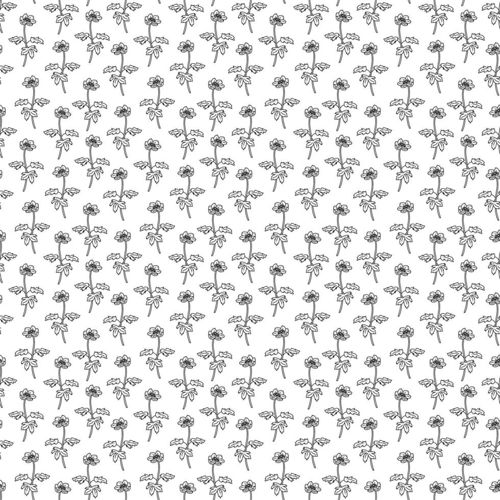nahtlos Muster mit Anemone Blume. Gekritzel schwarz und Weiß Vektor Illustration.