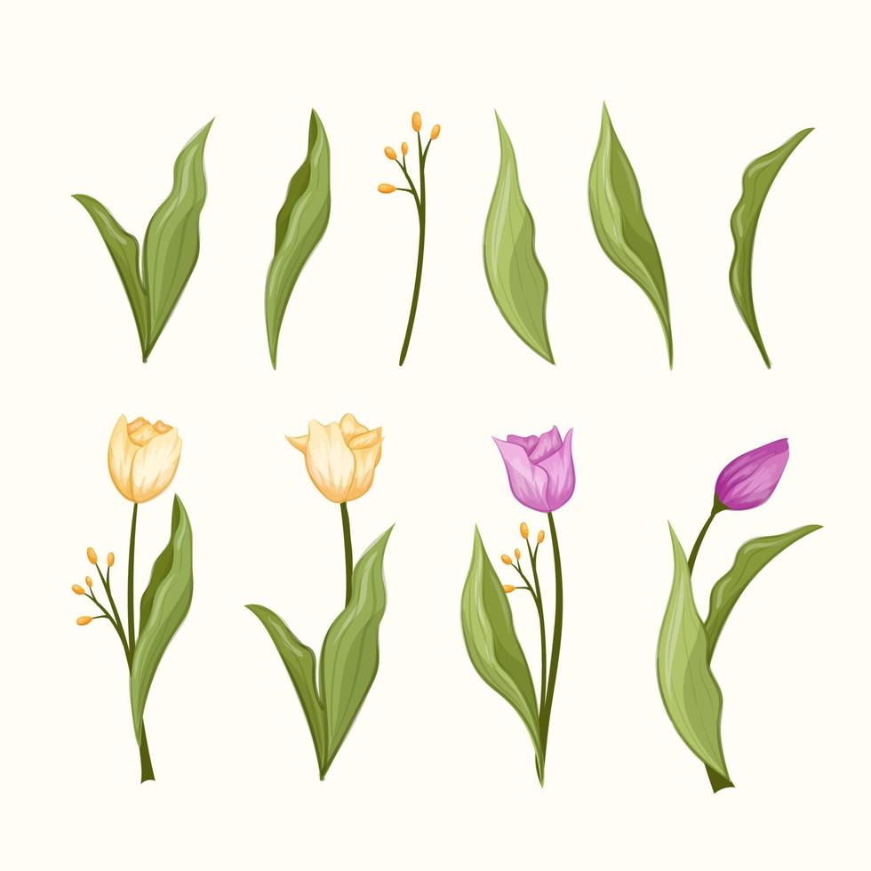Schönheit blühen Gelb und lila Tulpe Blume mit Blätter Botanik Garten vektor