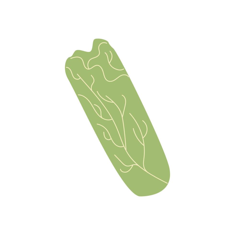 kinesisk kål vektor vegetabiliska grön mat illustration