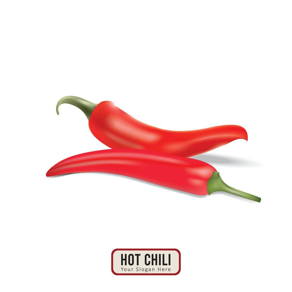 chili peppar isolerat på vit med vektor design