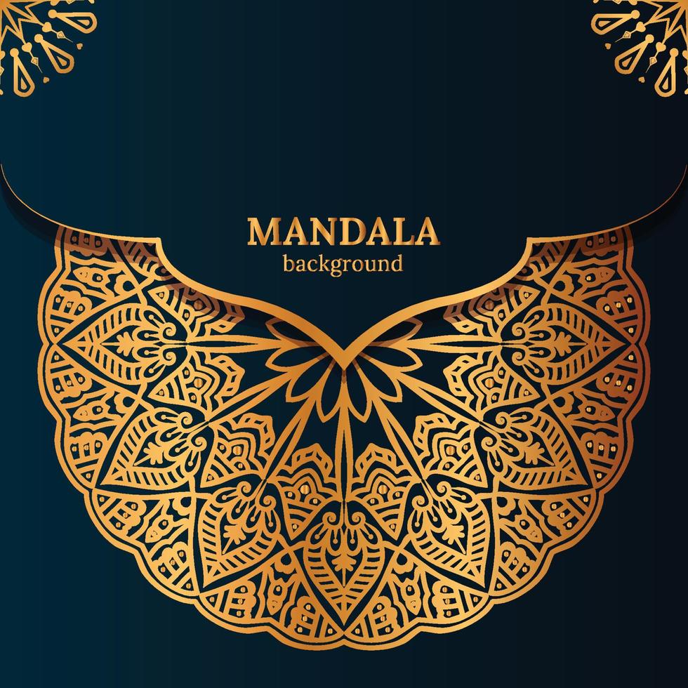 Luxus Mandala dekorativ ethnisch Element Hintergrund vektor