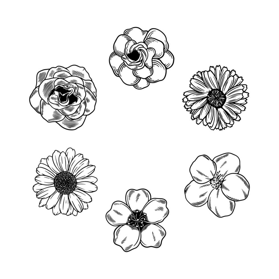 doodle skiss handritad blomma vektorelement. samling vackra olika blommor konst lövverk naturliga i vit bakgrund. dekorativ skönhet elegant illustration för design handritad blomma vektor