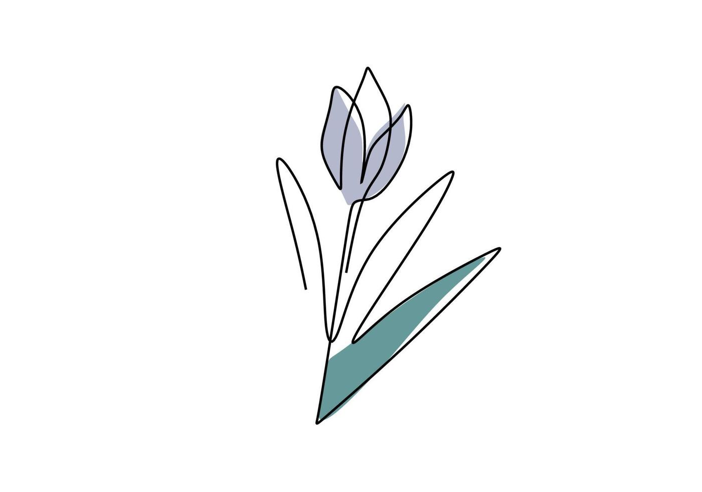 schöne Tulpenblume eine kontinuierliche Linie Kunst minimalistische Konturzeichnung. Frühlingsblumenmusterelement lokalisiert auf weißem Hintergrund. blühende natürliche Blume mit Blatt. Vektorillustration vektor