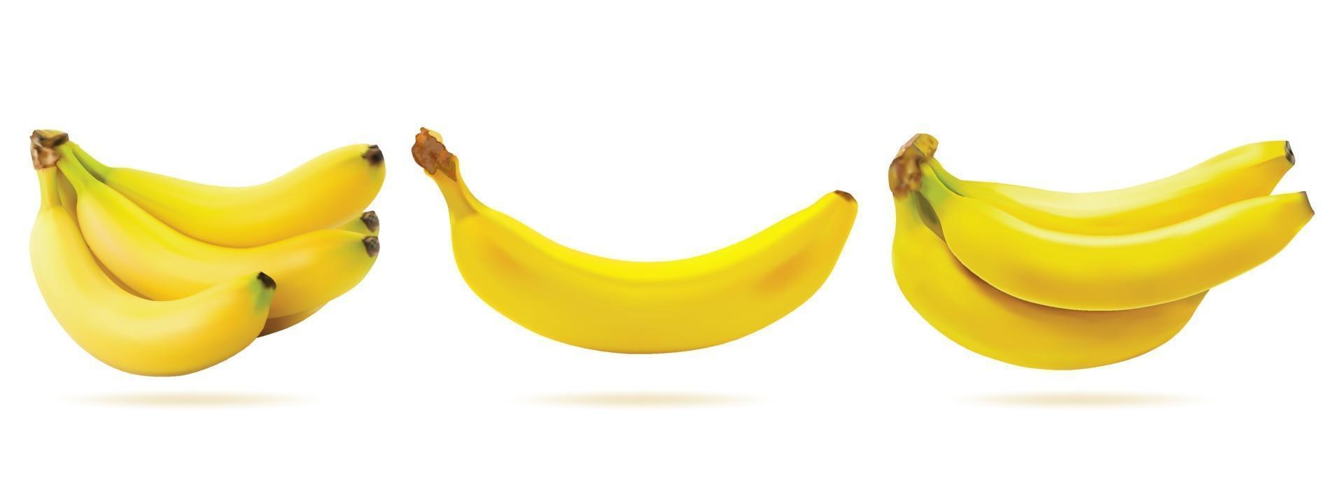 färsk bananfrukt isolerad på vit bakgrund. illustration realistisk vektor