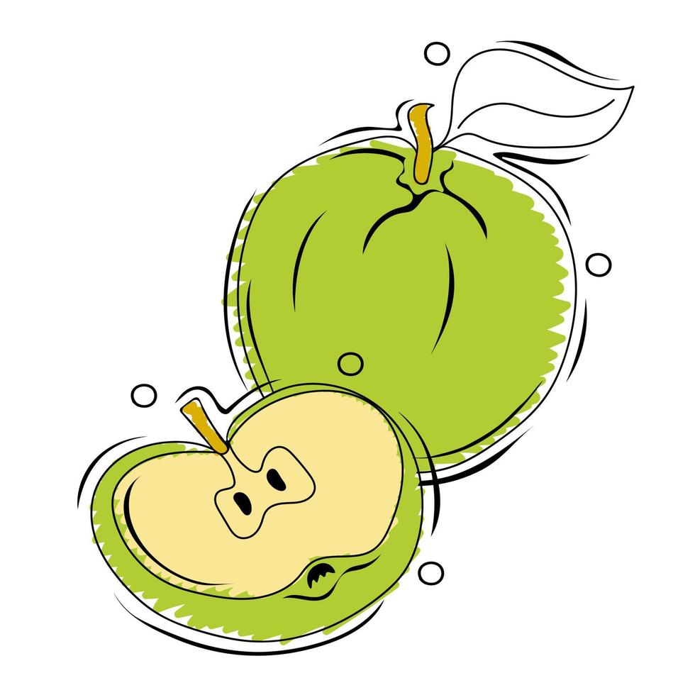 Grün Apfel. Sommer- Früchte zum gesund Lebensstil vektor