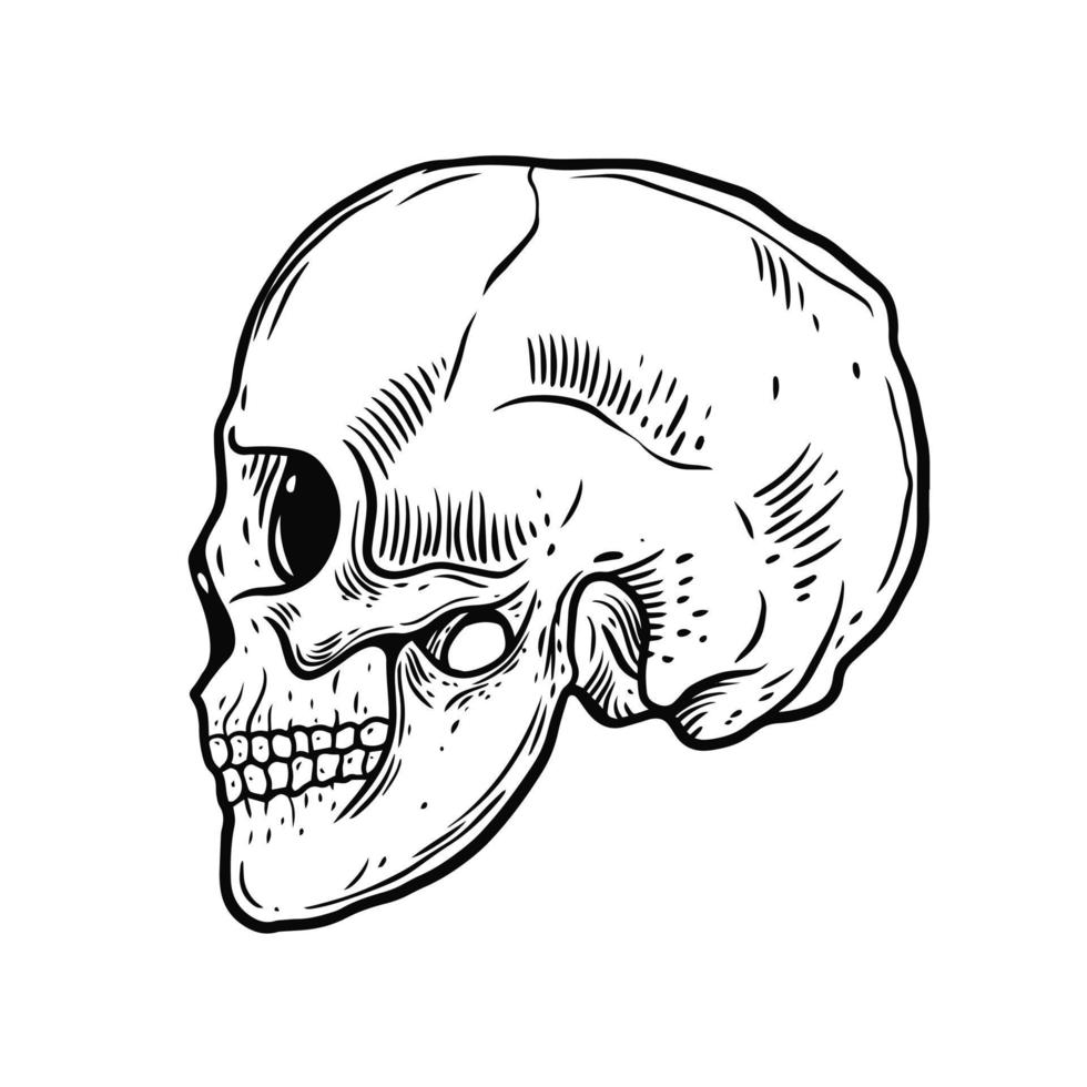 svart Färg skalle människor. hand dragen gravyr stil. vektor illustration.