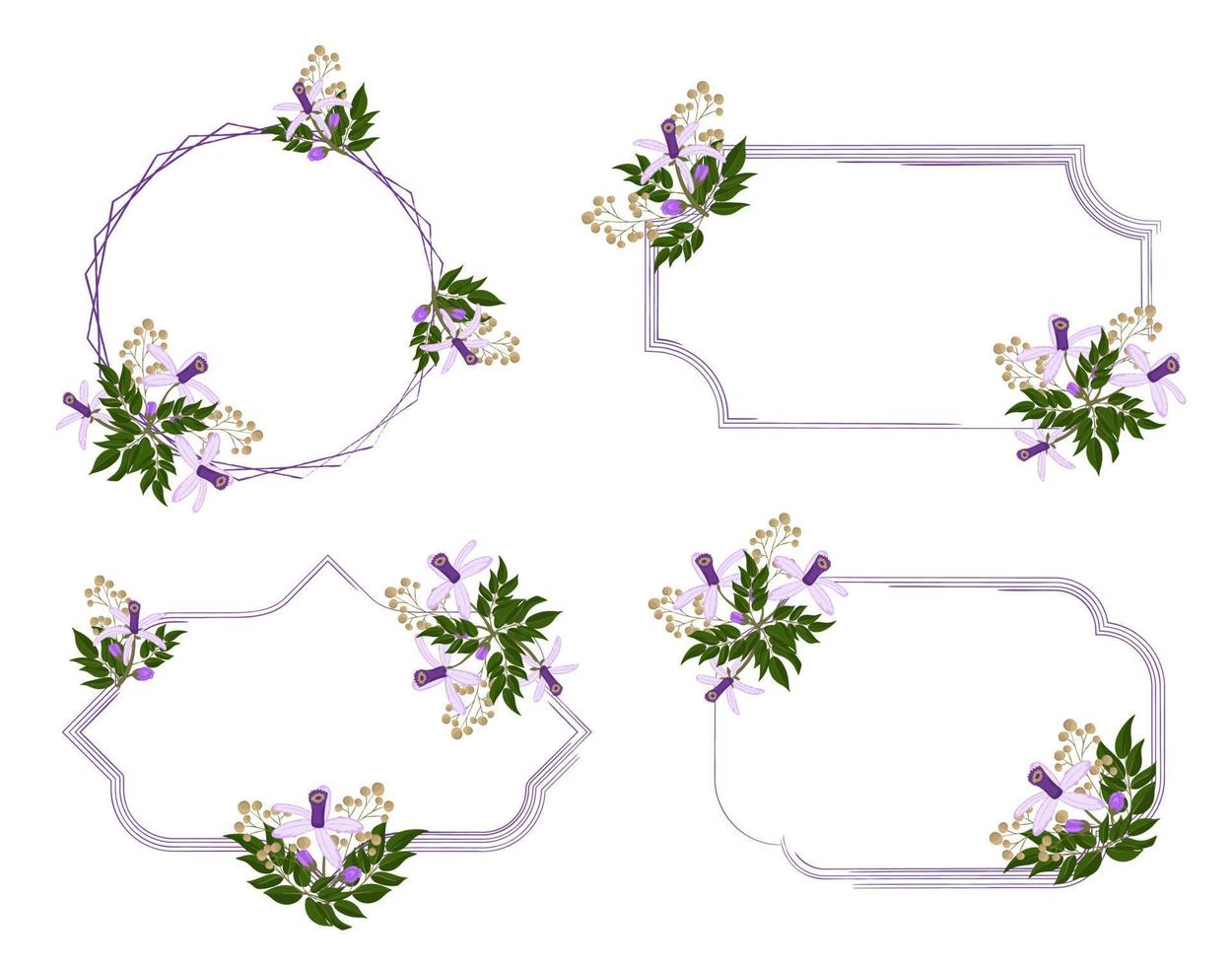 einstellen von Blumen- Rahmen mit Chinaberry Blume vektor