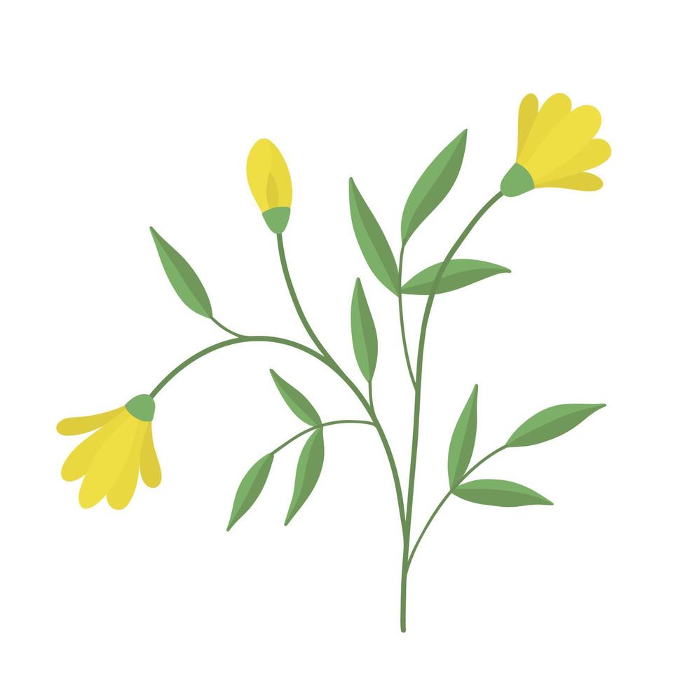 en delikat kvist av gul blommor. vektor illustration av årgång söt gul blommor. delikat blomma för dekoration. isolerat.