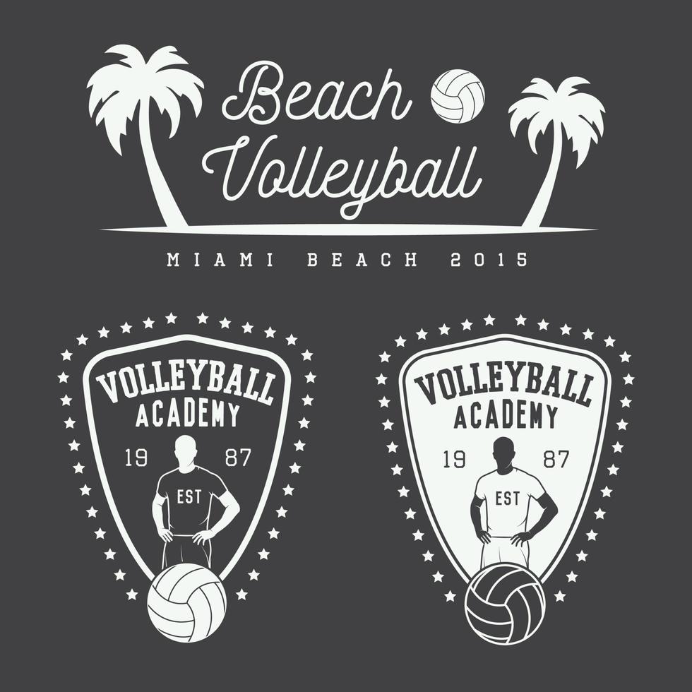 uppsättning av årgång volleyboll etiketter, emblem och logotyp. vektor