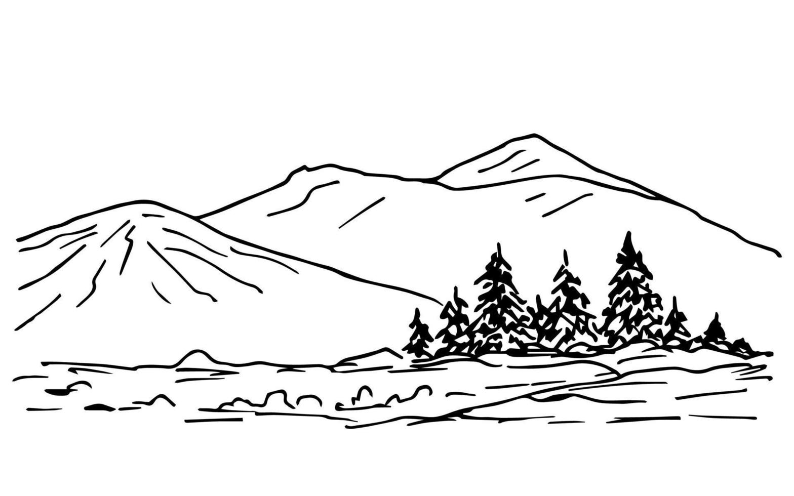 Hand gezeichnet Tinte Vektor skizzieren. ein einfach Landschaft von Nadelbaum Bäume auf ein hügel, das Kontur von das Berge auf das Horizont. Natur, Wald, reisen, Tourismus. zum Karten, Aufkleber, Drucke, Färbung.