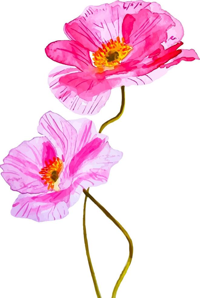 Aquarell Rosa Mohnblumen wild Blumen Clip Art Botanik Komposition zum Dekor vektor