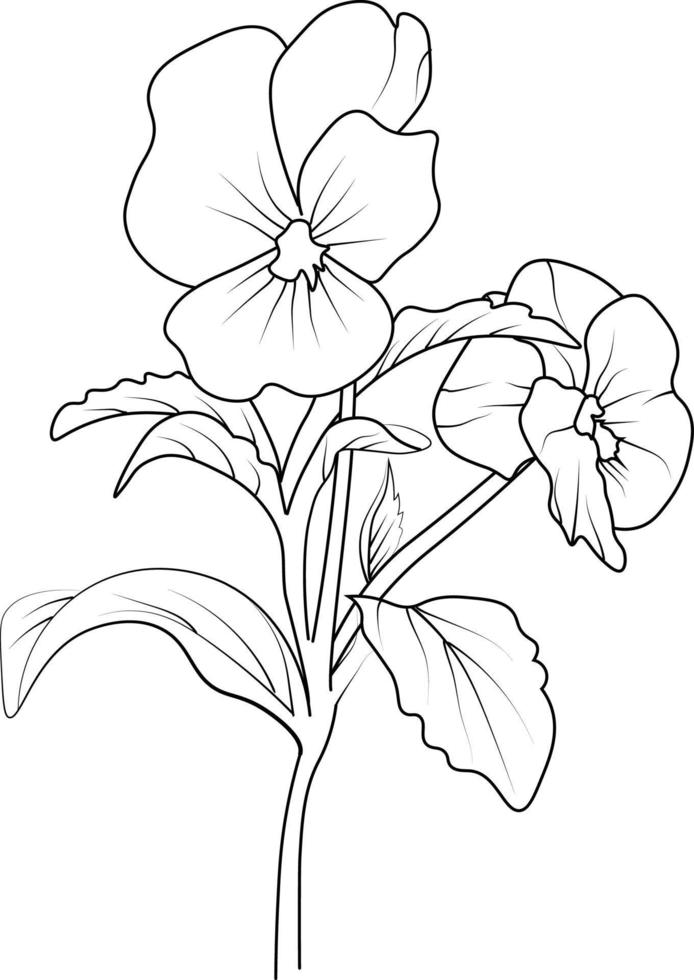realistisk fikus teckning, översikt fikus blomma teckning, traditionell fikus tatuering, fikus linje teckning, årgång blommig vektor illustration, översikt fikus blomma teckning.