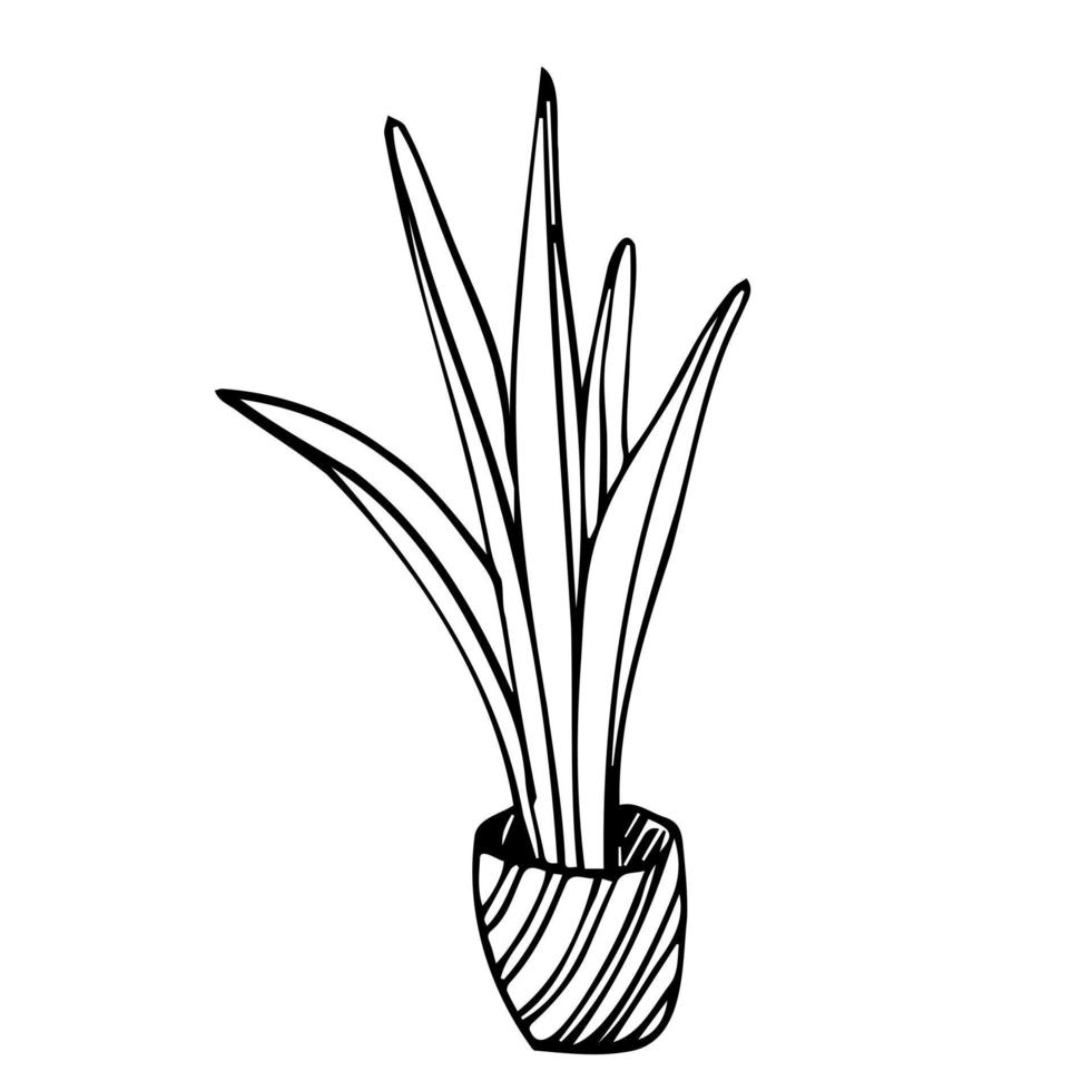 blommor i kastruller målad svart linje på en vit bakgrund. vektor teckning rader