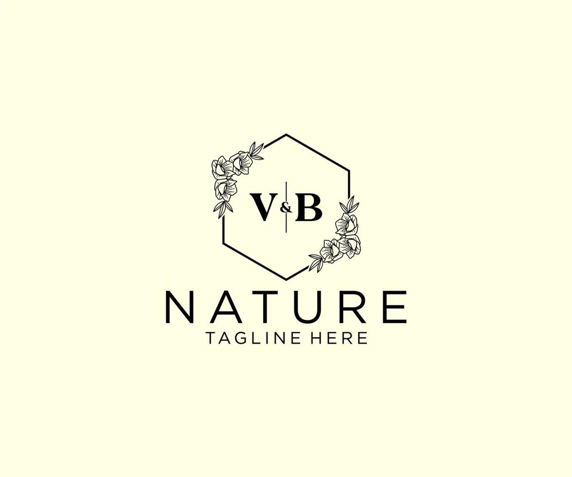 första vb brev botanisk feminin logotyp mall blommig, redigerbar förhandsgjord monoline logotyp lämplig, lyx feminin bröllop varumärke, företags. vektor