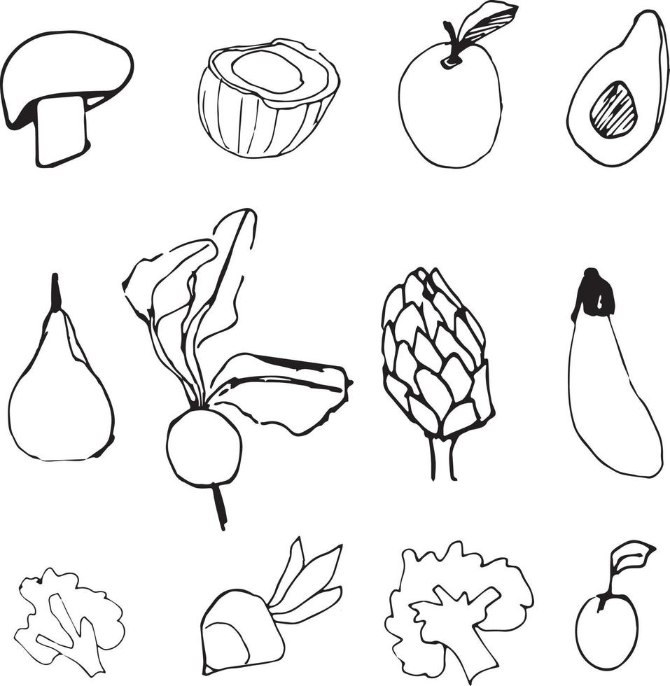 Früchte und Gemüse. Gemüse und Früchte Vektor. Gemüse Linie Kunst. Rettich, Brokkoli, Apfel, Birne Linie Kunst Vektor. vektor