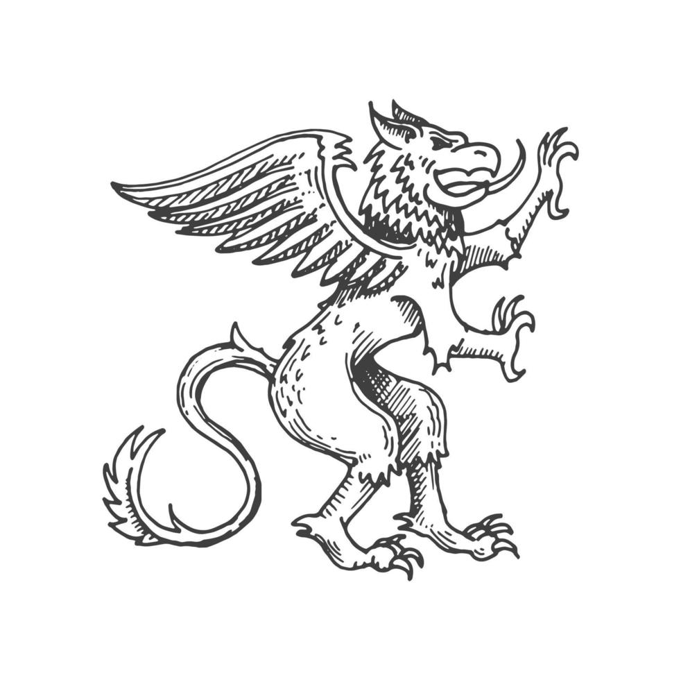 grip eller gryphon medeltida heraldisk djur- skiss vektor
