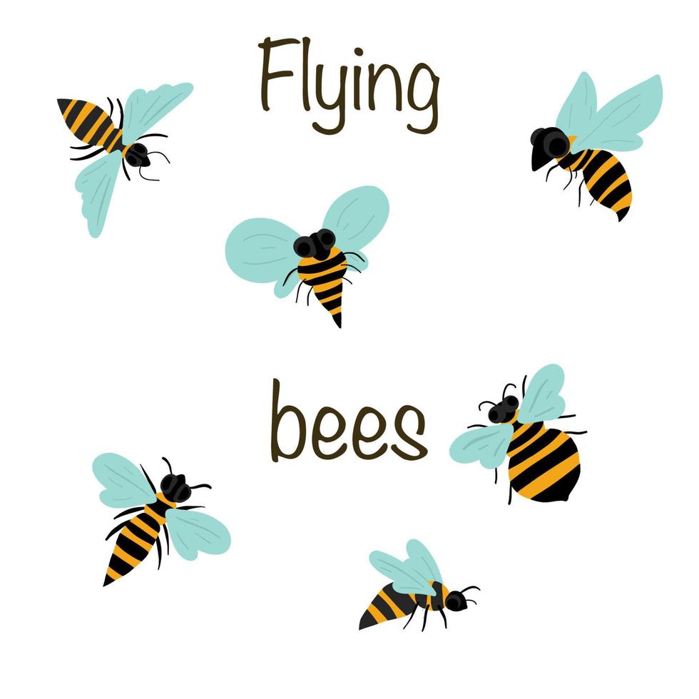 flygande bin uppsättning av sex typer av bin vektor