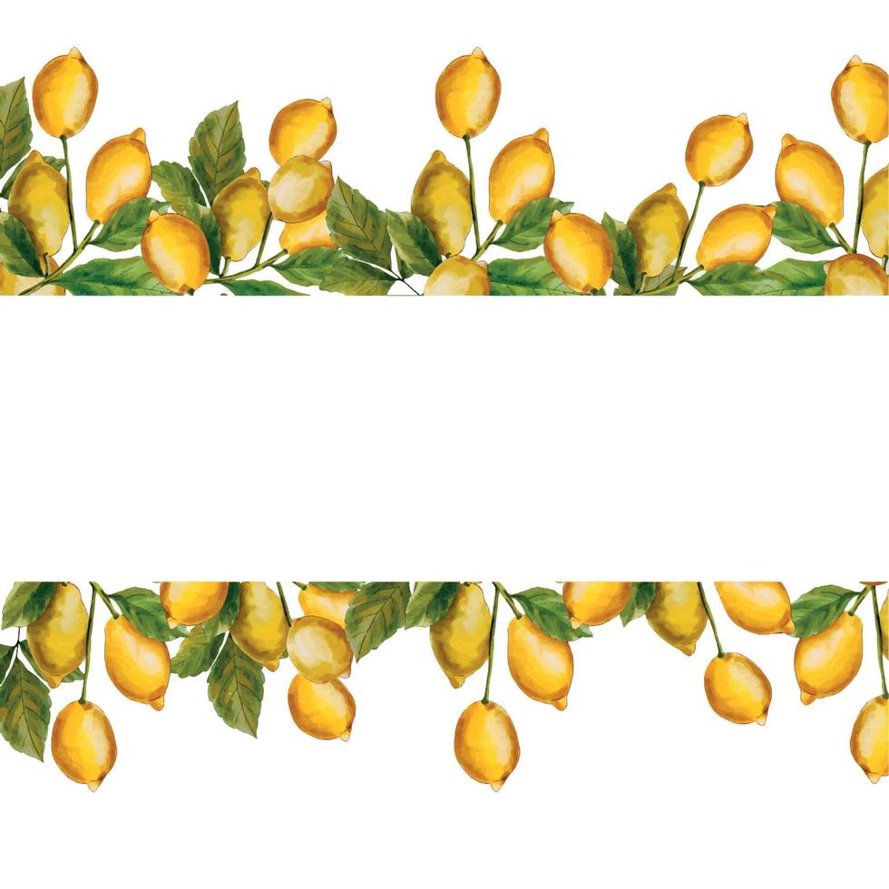 bakgrund med löv. vattenfärg baner med citroner och löv. vår eller sommar blommor med en plats för din text. vattenfärg ram med citroner. ram tillverkad av gul citroner. vektor