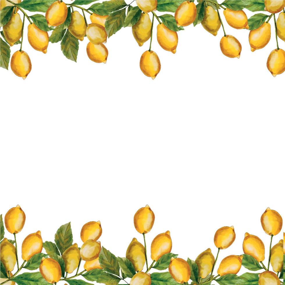 ram tillverkad av frukt. bakgrund med löv. vattenfärg baner med citroner och löv. vår eller sommar blommor med en plats för din text. vattenfärg ram med citroner. ram tillverkad av gul citroner vektor