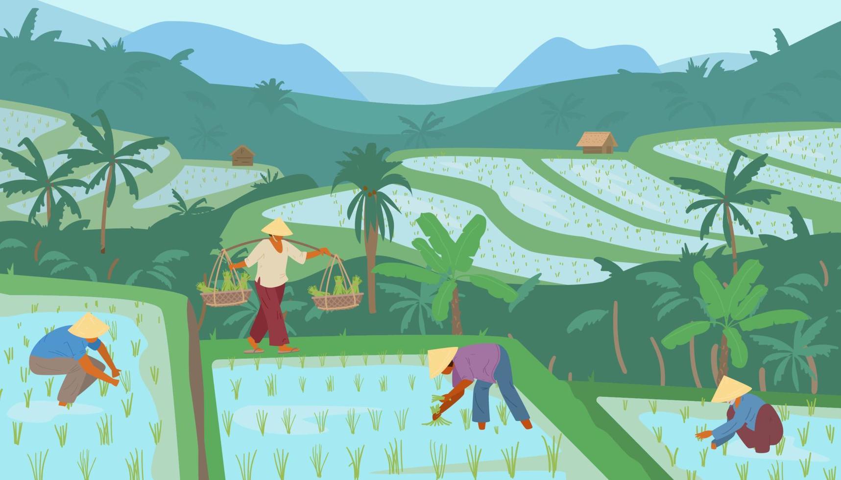 ris fält landskap med jordbrukare vektor illustration. asiatisk ris plantager. landskap med irländare terrasser, palmer, kullar och hyddor.