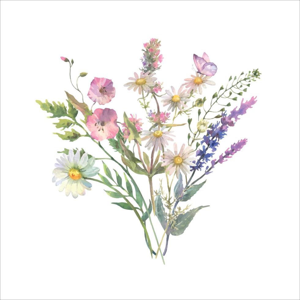 vattenfärg äng blommor bukett av kamomill, vinda, salvia och timjan, och lila fjäril. hand målad blommig affisch av vild isolerat på vit bakgrund. vektor