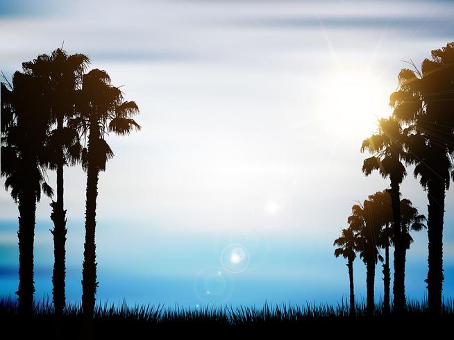 Sommer Palme Hintergrund vektor