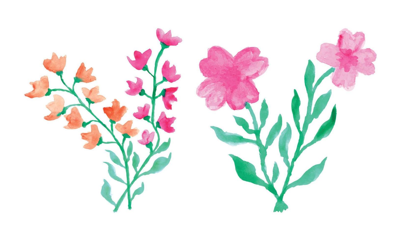 vattenfärg målning av blommor. rosa vattenfärg blomma design. skön blommor illustration vektor