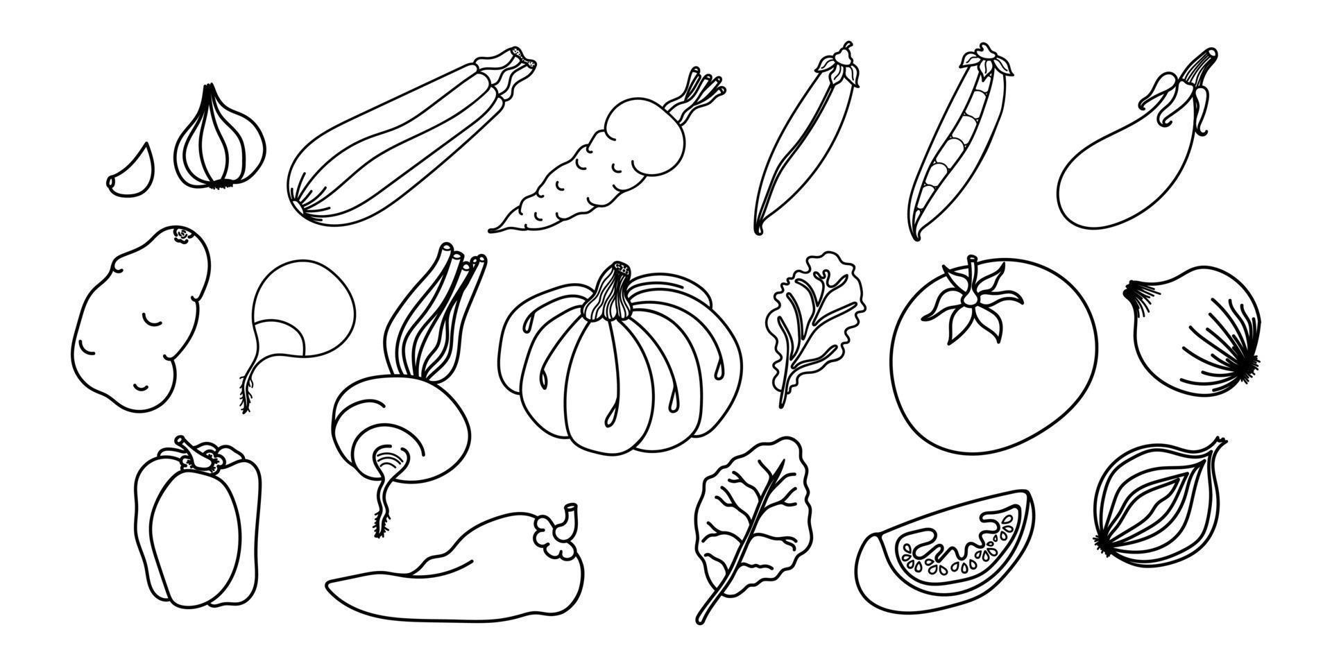Hand gezeichnet Gemüse Umrisse, perfekt zum Färbung Seiten im Kinder- Bücher oder lehrreich Materialien. das einstellen von Vektor Symbole fügt hinzu Vielseitigkeit und Anpassung Optionen zum ein Angebot von Projekte.